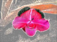 ART0302.jpg