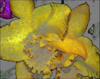 ART0299.jpg