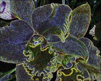 ART0298.jpg