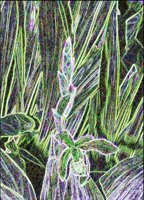 ART0295.jpg