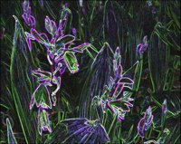 ART0294.jpg