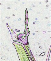 ART0293.jpg