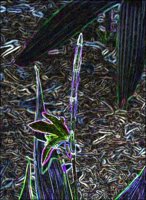 ART0292.jpg