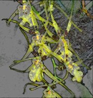 ART0291.jpg