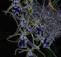 ART0290.jpg
