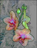 ART0289.jpg