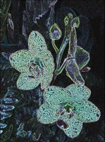 ART0288.jpg