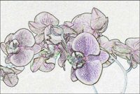 ART0286.jpg