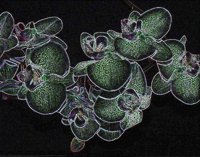 ART0285.jpg