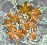 ART0280.jpg