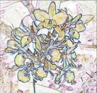 ART0279.jpg