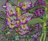 ART0278.jpg