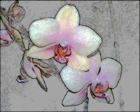 ART0275.jpg