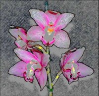 ART0274.jpg