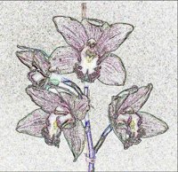 ART0273.jpg