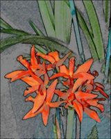 ART0271.jpg
