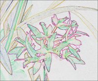 ART0268.jpg