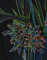 ART0267.jpg