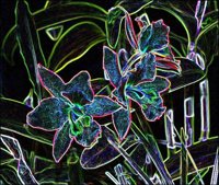 ART0266.jpg