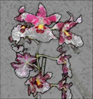 ART0265.jpg