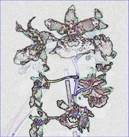 ART0264.jpg
