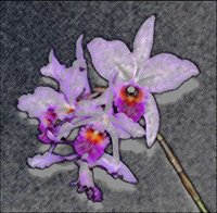 ART0262.jpg