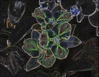 ART0259.jpg