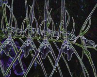 ART0256.jpg