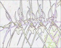 ART0255.jpg