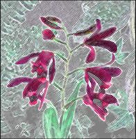 ART0252.jpg
