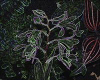 ART0251.jpg