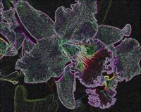 ART0249.jpg