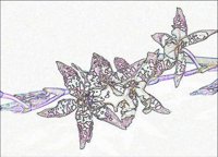 ART0248.jpg