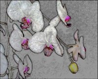 ART0247.jpg