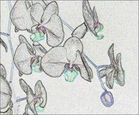 ART0246.jpg