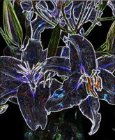 ART0239.jpg