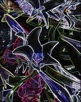 ART0238.jpg