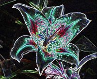ART0237.jpg