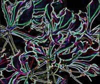 ART0236.jpg