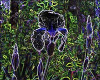 ART0233.jpg