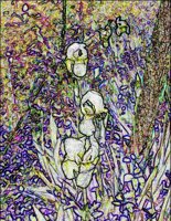 ART0232.jpg