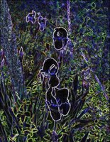 ART0231.jpg