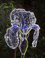 ART0230.jpg