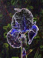 ART0229.jpg