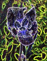 ART0228.jpg