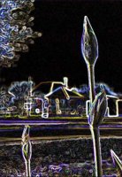 ART0227.jpg