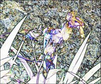 ART0226.jpg