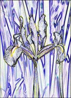 ART0225.jpg