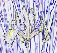 ART0224.jpg