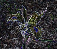 ART0223.jpg